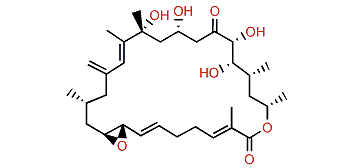 Amphidinolide B
